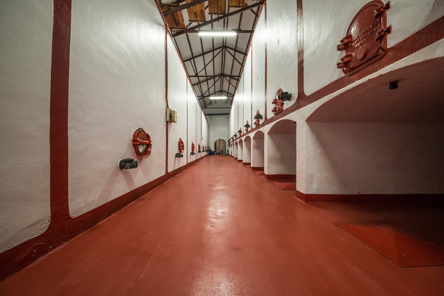 Lady B 2023 – Biologische Rode Wijn (D.O. Yecla)