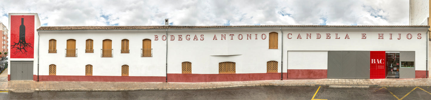 Lady B 2023 – Biologische Rode Wijn (D.O. Yecla)